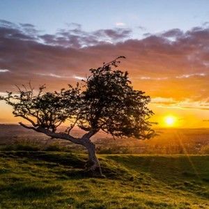 Meet your Posher, Florine